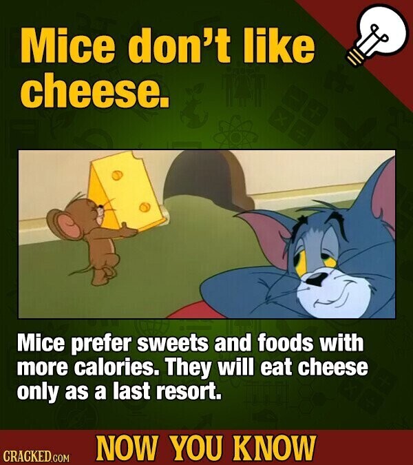 Mice don't like cheese. Mice prefer sweets and foods with more calories. They will eat cheese only as a last resort. NOW YOU KNOW CRACKED.COM