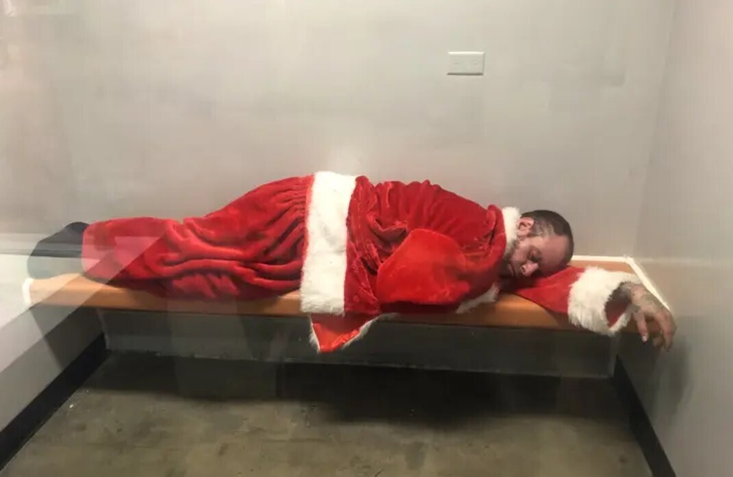 20 Photos Showing if the Grinch Ran Christmas