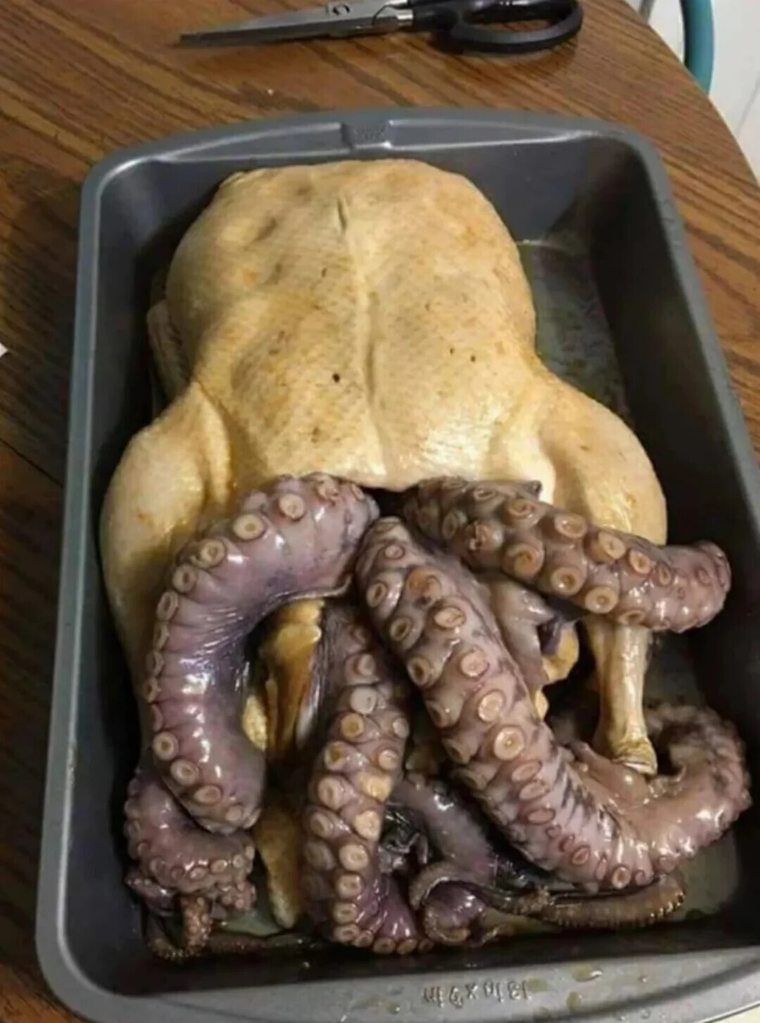 20 Photos Where We're Not Sure What's Going On