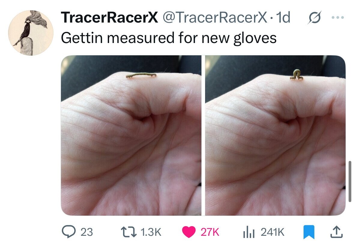 TracerRacerX @TracerRacerX. 1d ... Gettin measured for new gloves 23 1.3K 27K 241K 