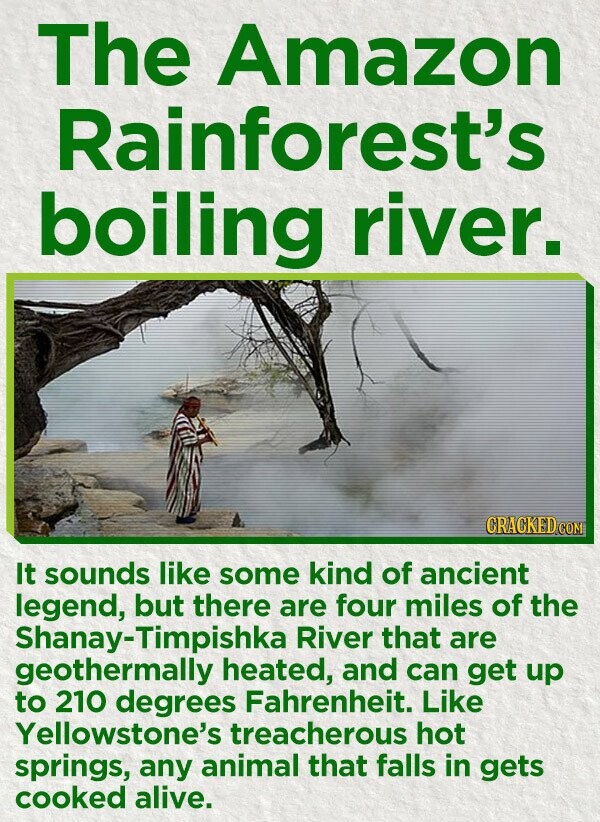 The Amazon Rainforest's boiling river. CRACKED.COM It sounds like some kind of ancient legend, but there are four miles of the Shanay-Timpishka River that are geothermally heated, and can get up to 210 degrees Fahrenheit. Like Yellowstone's treacherous hot springs, any animal that falls in gets cooked alive.