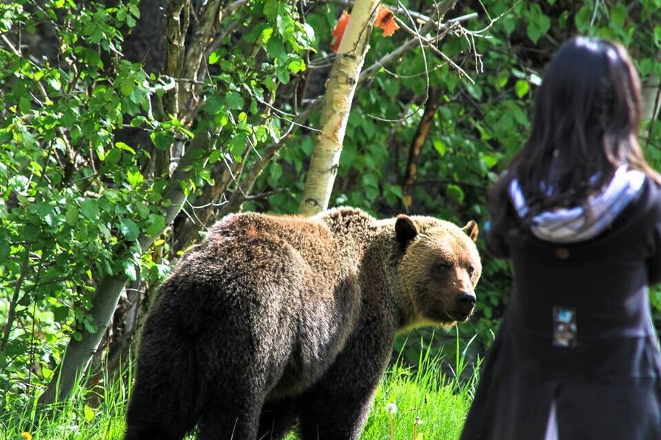 Unsettling Photos from Behind the Scenes of Life