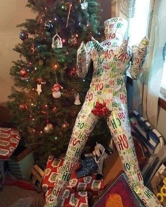 20 Photos Showing if the Grinch Ran Christmas