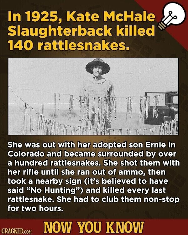 In 1925, Kate McHale Slaughterback killed 140 rattlesnakes. She was out with her adopted son Ernie in Colorado and became surrounded by over a hundred rattlesnakes. She shot them with her rifle until she ran out of ammo, then took a nearby sign (it's believed to have said No Hunting) and killed every last rattlesnake. She had to club them non-stop for two hours. NOW YOU KNOW CRACKED.COM