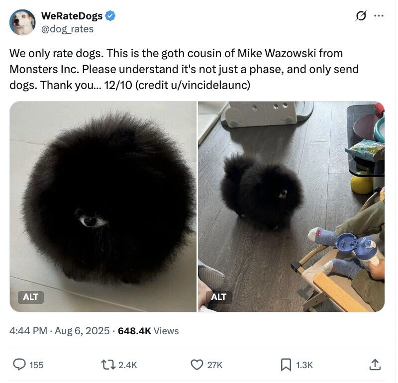 O WeRateDogs ... @dog_rates We only rate dogs. This is the goth cousin of Mike Wazowski from Monsters Inc. Please understand it's not just a phase, and only send dogs. Thank you... 12/10 (credit u/vincidelaunc) ALT ALT 4:44 PM Aug 6, 2025 648.4K Views 155 2.4K 27K 1.3K 