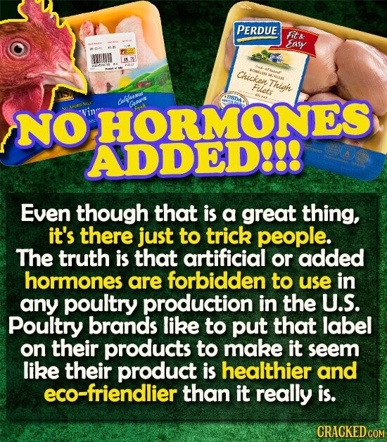 PERDUE Fit& - PUBLIC - Le Easy EL 15.72 .. Fresk -Al - - UK BONFESS MUNCASE Chicken Thigh Filets ms. USDA NO V AMEZ Win sn HORMONES Fresh MADE MADE adidas SUP California Grown ADDED!!! adidas Even though that is a great thing, it's there just to trick people. The truth is that artificial or added hormones are forbidden to use in any poultry production in the U.S. Poultry brands like to put that label on their products to make it seem like their product is healthier and eco-friendlier than it really is. CRACKED COM