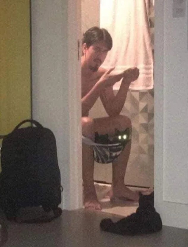 20 Photos Where We're Not Sure What's Going On