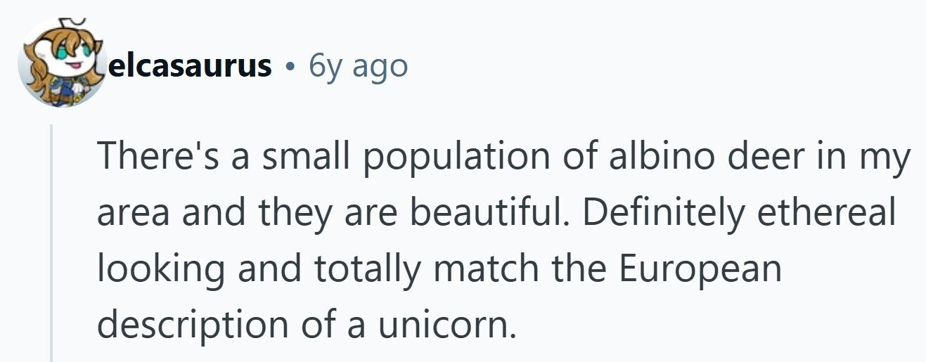 elcasaurus . 6y ago There's a small population of albino deer in my area and they are beautiful. Definitely ethereal looking and totally match the European description of a unicorn. 