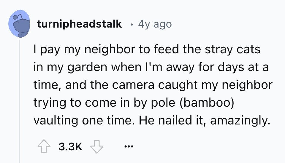 turnipheadstalk 4y ago I pay my neighbor to feed the stray cats in my garden when I'm away for days at a time, and the camera caught my neighbor trying to come in by pole (bamboo) vaulting one time. Не nailed it, amazingly. 3.3K ...