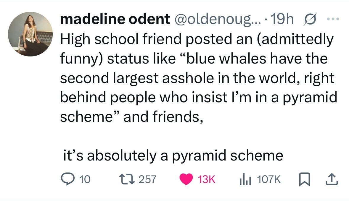 madeline odent @oldenoug... 19h s ... High school friend posted an (admittedly funny) status like blue whales have the second largest asshole in the world, right behind people who insist I'm in a pyramid scheme and friends, it's absolutely a pyramid scheme 10 257 13K del 107K 