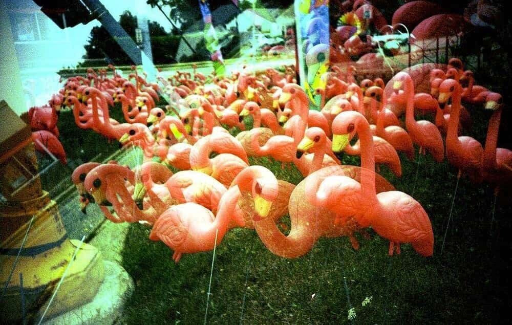 Deranged Yard Decor Terrorizing Neighbors and the HOA