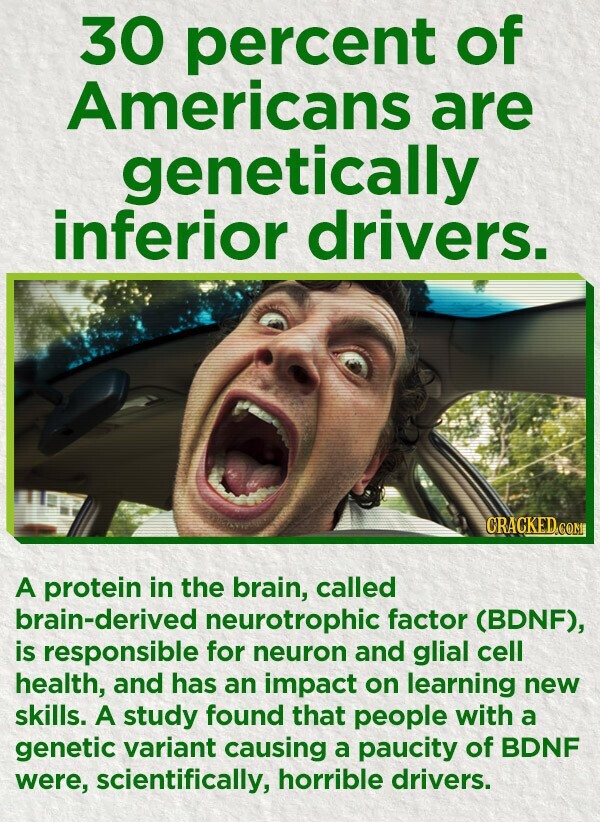 30 percent of Americans are genetically inferior drivers. CRACKED.COM A protein in the brain, called brain-derived neurotrophic factor (BDNF), is responsible for neuron and glial cell health, and has an impact on learning new skills. A study found that people with a genetic variant causing a paucity of BDNF were, scientifically, horrible drivers.