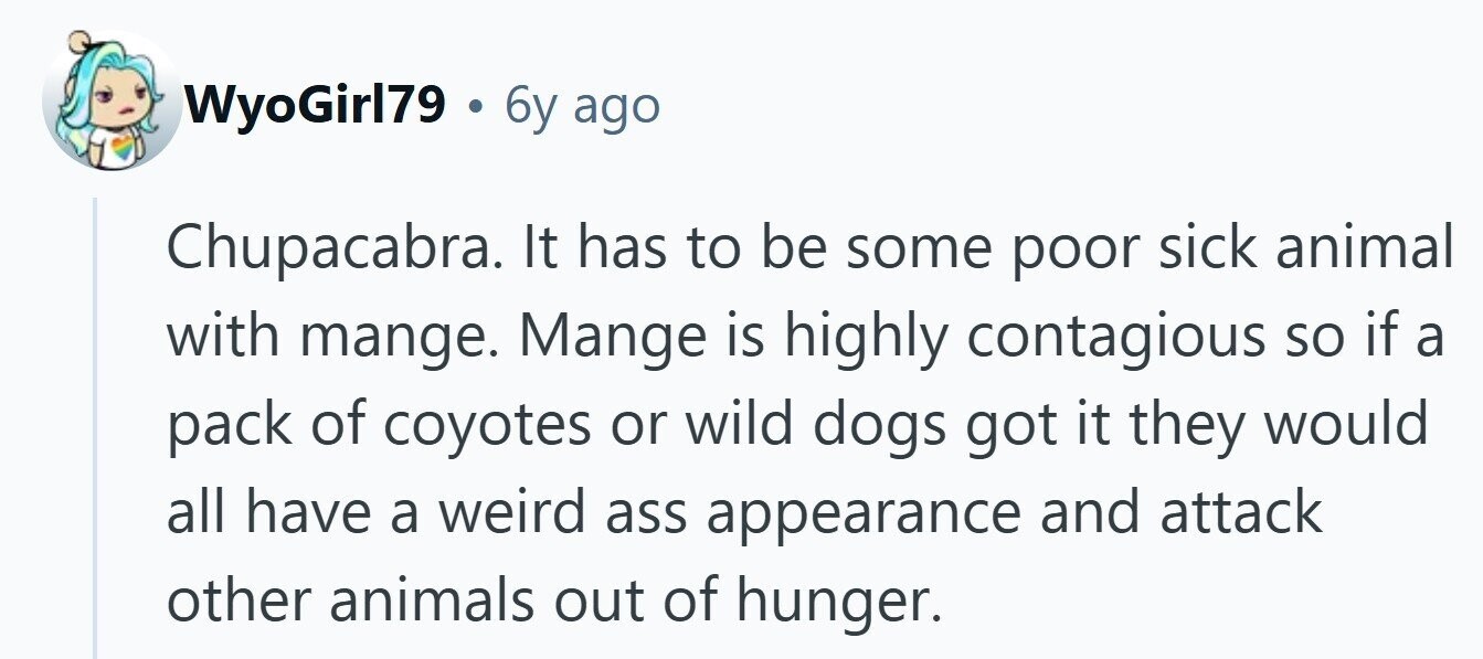WyoGirl79 . 6y ago Chupacabra. It has to be some poor sick animal with mange. Mange is highly contagious so if a pack of coyotes or wild dogs got it they would all have a weird ass appearance and attack other animals out of hunger. 