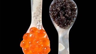 13 Surprising Facts About Hoity-Toity Food