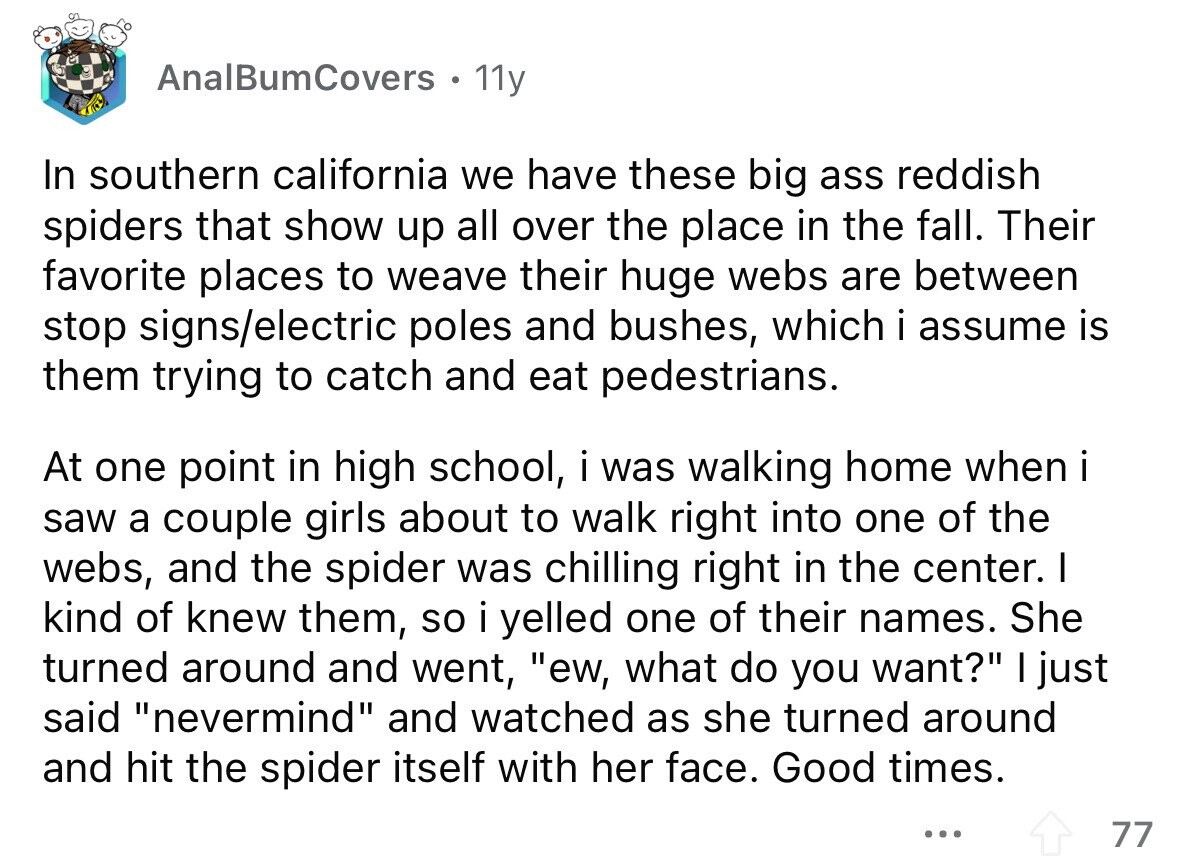 AnalBumCovers 11y In southern california we have these big ass reddish spiders that show up all over the place in the fall. Their favorite places to weave their huge webs are between stop signs/electric poles and bushes, which i assume is them trying to catch and eat pedestrians. At one point in high school, i was walking home when i saw a couple girls about to walk right into one of the webs, and the spider was chilling right in the center. I kind of knew them, so i yelled one of their names. She turned around and went, ew,