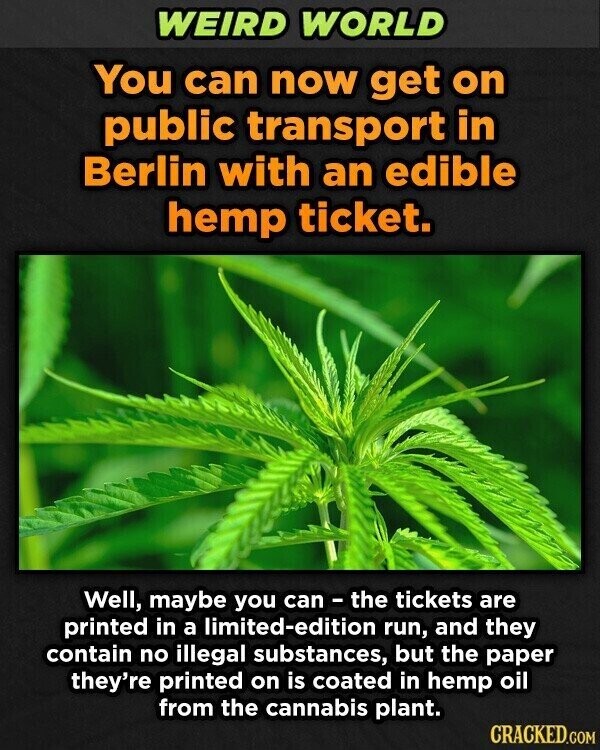 WEIRD WORLD You can now get on public transport in Berlin with an edible hemp ticket. Well, maybe you can - the tickets are printed in a limited-edition run, and they contain no illegal substances, but the paper they're printed on is coated in hemp oil from the cannabis plant. CRACKED.COM