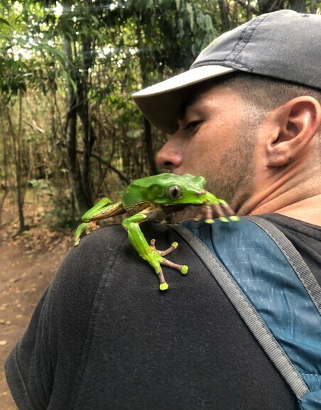 Photos Showing Carnival Isn't Brazil's Only Parade