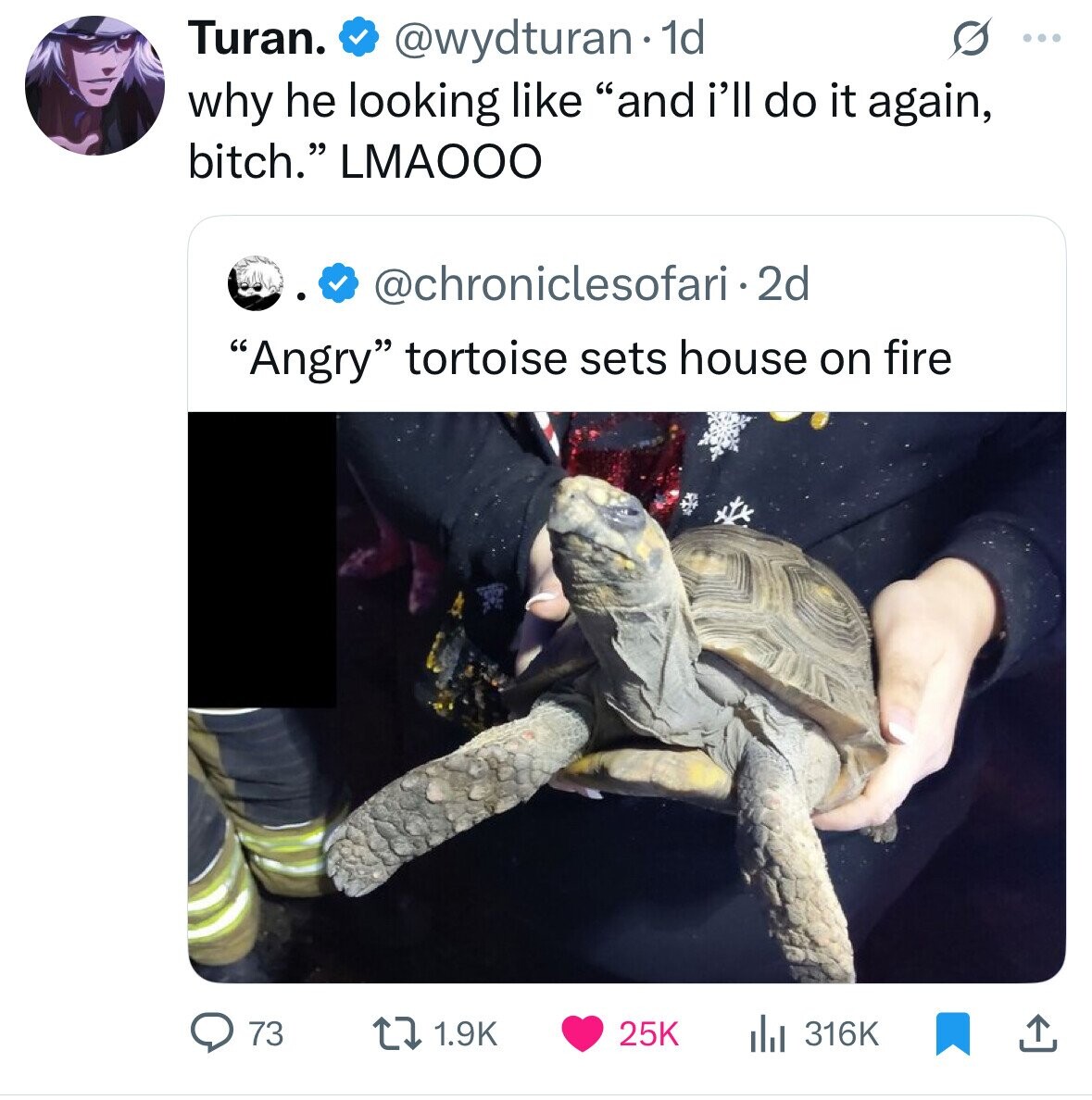 Turan. @wydturan. 1d S ... why he looking like and i'll do it again, bitch. LMAOOO @chroniclesofari-2d Angry tortoise sets house on fire 73 1.9K 25K 316K 