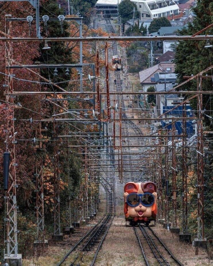 Unsettling Photos from Behind the Scenes of Life