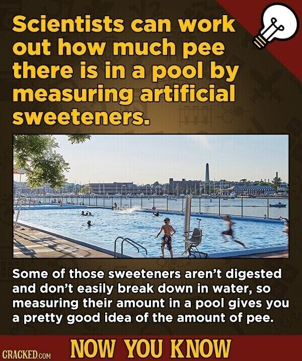 Scientists can work out how much pee there is in a pool by measuring artificial sweeteners. Some of those sweeteners aren't digested and don't easily break down in water, so measuring their amount in a pool gives you a pretty good idea of the amount of pee. NOW YOU KNOW CRACKED.COM