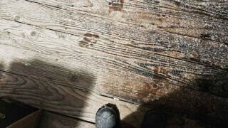 Uncomfortable Pics of Things We'd Rather Not Run Into