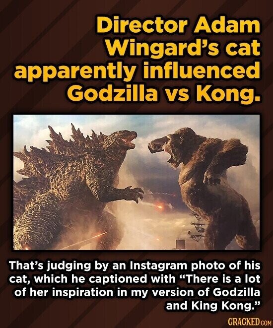 Director Adam Wingard's cat apparently influenced Godzilla vs Kong. That's judging by an Instagram photo of his cat, which he captioned with There is a lot of her inspiration in my version of Godzilla and King Kong. CRACKED.COM