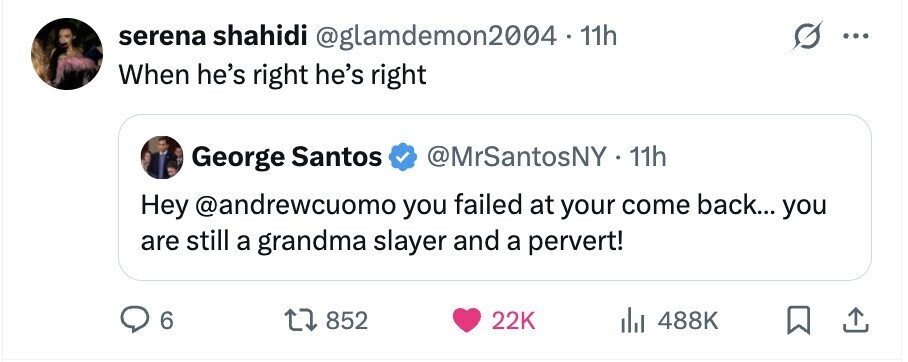serena shahidi @glamdemon2004 - 1 11h When he's right he's right @MrSantosNY - 1 11h George Santos Hey @andrewcuomo you failed at your come back... you are still a grandma slayer and a pervert! 6 852 22K 488K