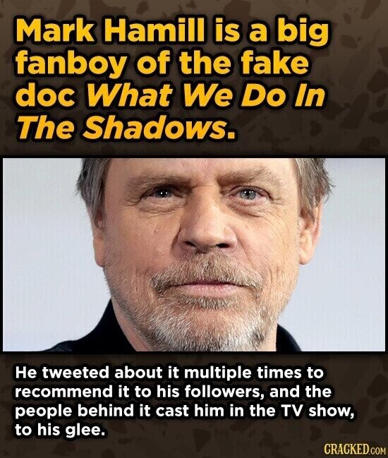 Mark Hamill is a big fanboy of the fake doc What We Do In The Shadows. Не tweeted about it multiple times to recommend it to his followers, and the people behind it cast him in the TV show, to his glee. CRACKED.COM