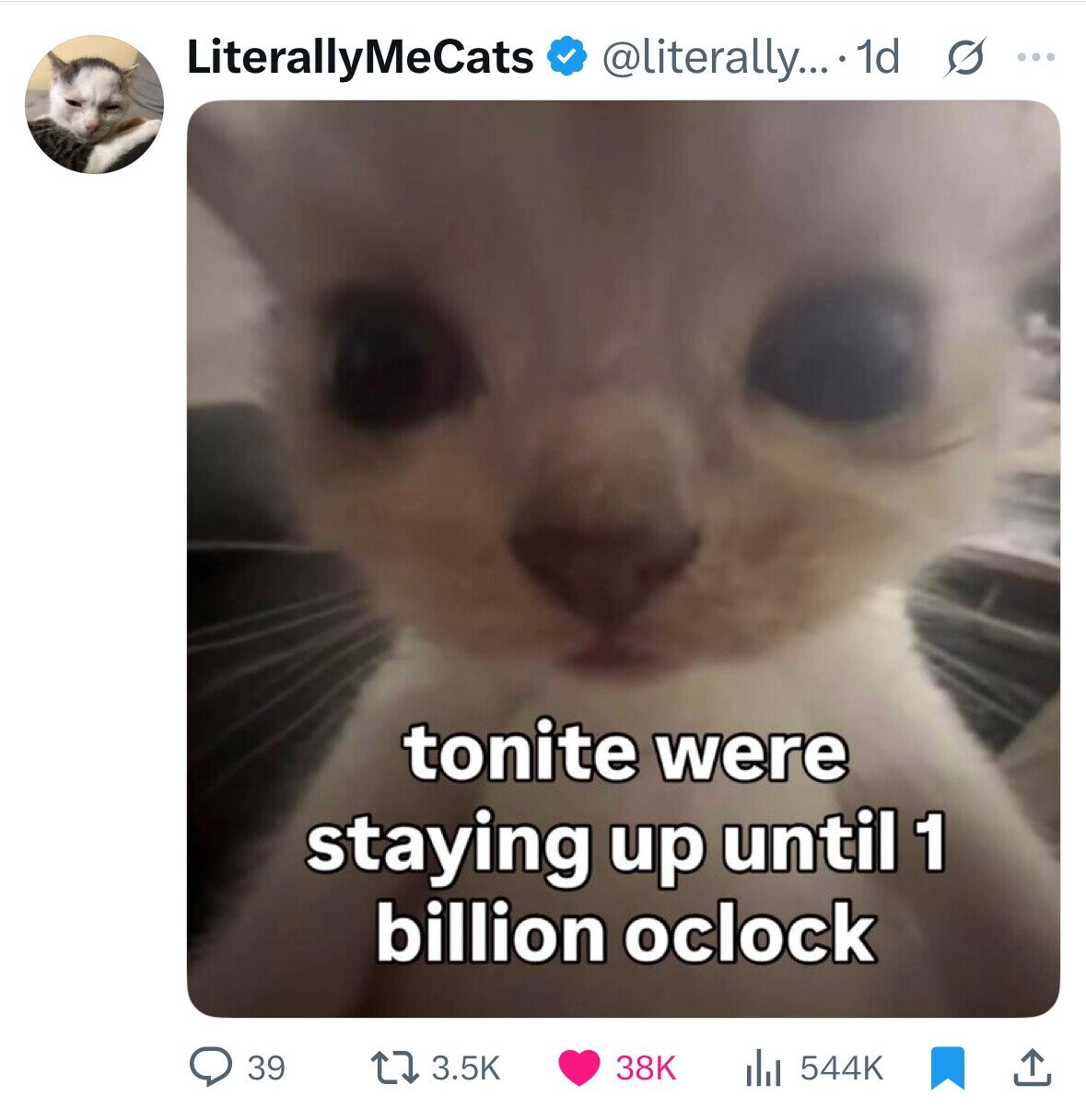LiterallyMeCats @literally... ...1d s ... tonite were staying up until 1 billion oclock 39 3.5K 38K 544K 