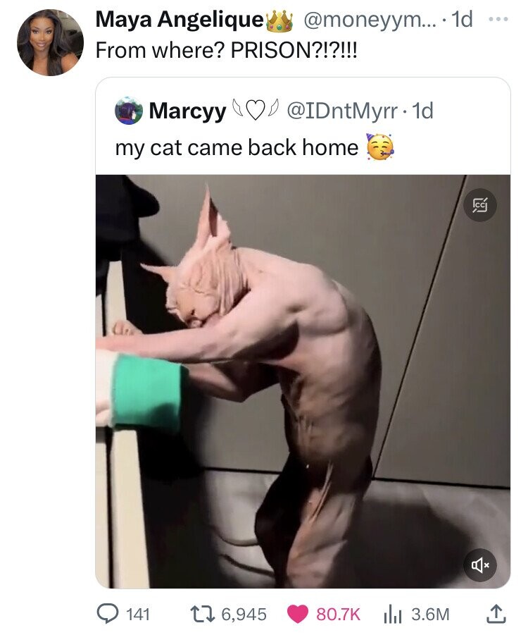 Maya Angelique @moneyym... id From where? PRISON?!?!!! Marcyy @IDntMyrr - 1d my cat came back home CC 141 6,945 80.7K 3.6M 