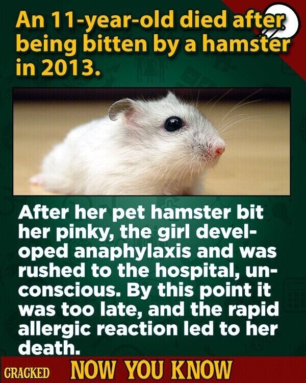 An 11-year-old died after being bitten by a hamster in 2013. After her pet hamster bit her pinky, the girl devel- oped anaphylaxis and was rushed to the hospital, un- conscious. By this point it was too late, and the rapid allergic reaction led to her death. CRACKED NOW YOU KNOW