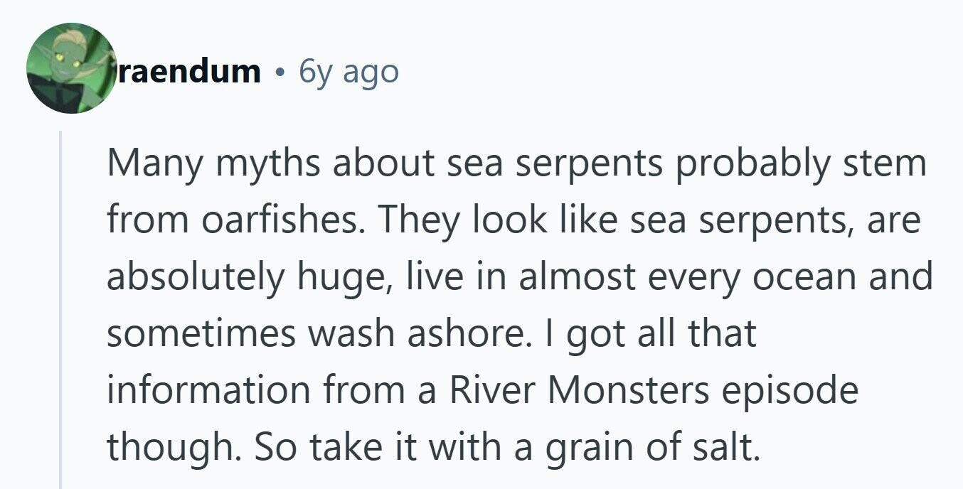 raendum 6y ago Many myths about sea serpents probably stem from oarfishes. They look like sea serpents, are absolutely huge, live in almost every ocean and sometimes wash ashore. I got all that information from a River Monsters episode though. So take it with a grain of salt. 