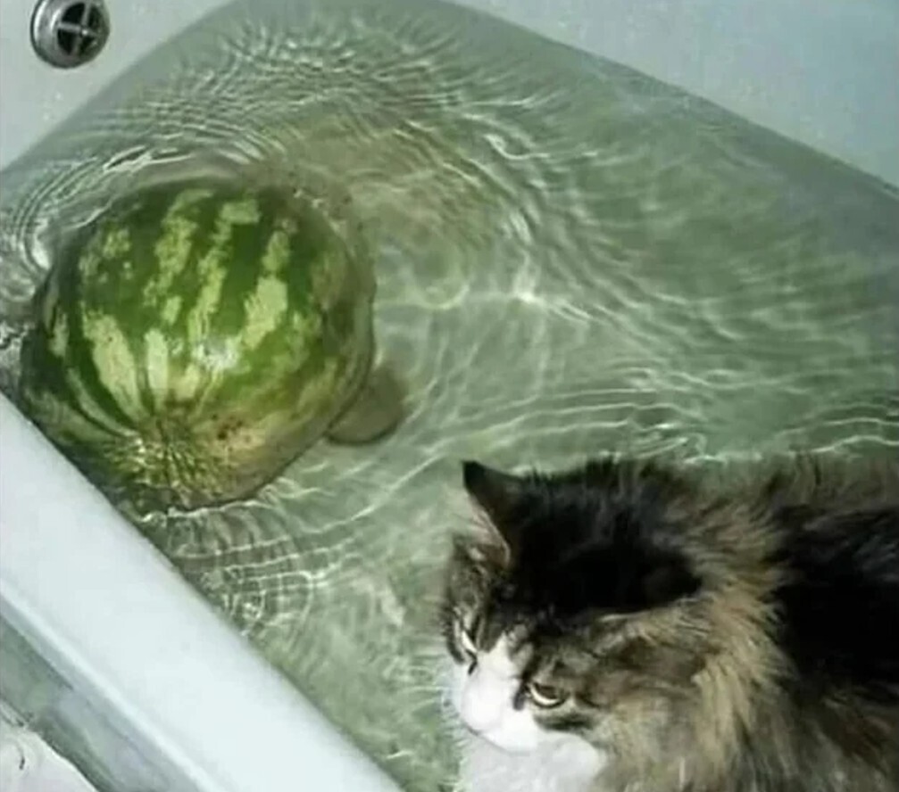 20 Photos Where We're Not Sure What's Going On