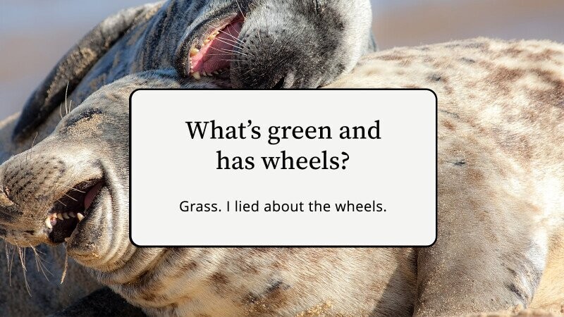 31 Anti-Humor Jokes That Would Be Impossible to Explain to An Alien