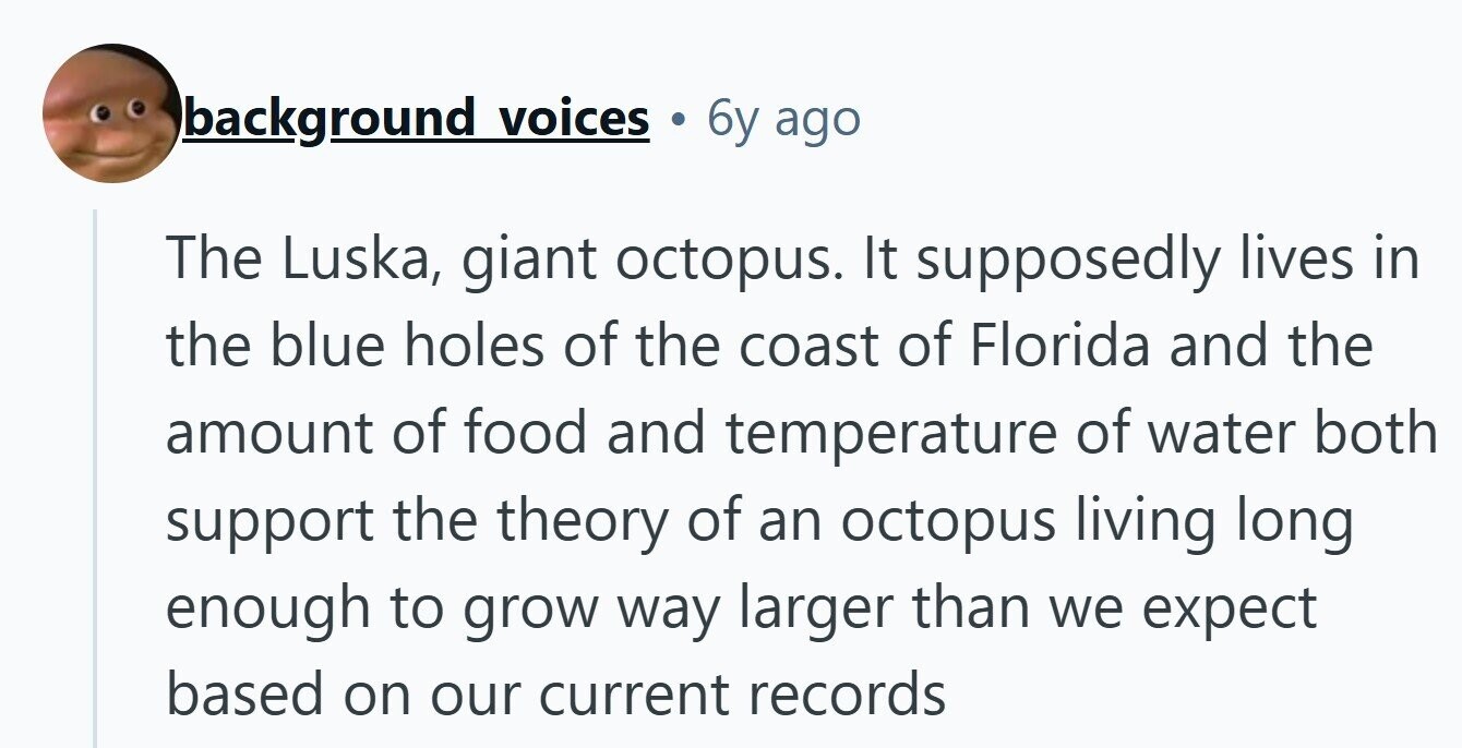 background voices 6y ago The Luska, giant octopus. It supposedly lives in the blue holes of the coast of Florida and the amount of food and temperature of water both support the theory of an octopus living long enough to grow way larger than we expect based on our current records 