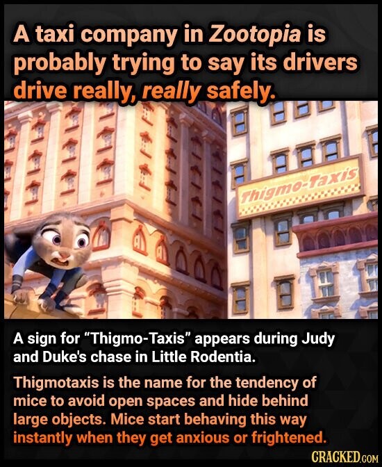 A taxi company in Zootopia is probably trying to say its drivers drive really, really safely. DECT Thigmo-Taxis A sign for Thigmo-Taxis appears during Judy and Duke's chase in Little Rodentia. Thigmotaxis is the name for the tendency of mice to avoid open spaces and hide behind large objects. Mice start behaving this way instantly when they get anxious or frightened. CRACKED.COM