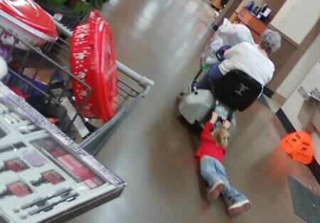 Walmart Sightings That Put Darwin's Theories in Doubt