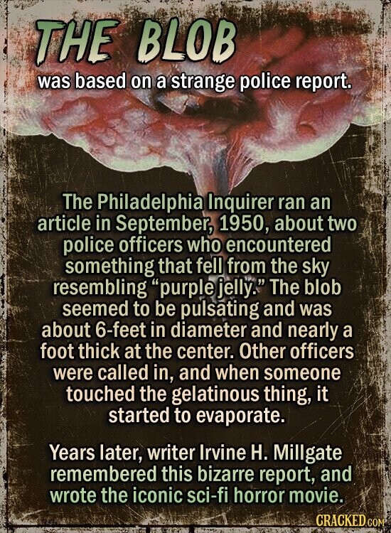 THE BLOB was based on a strange police report. The Philadelphia Inquirer ran an article in September, 1950, about two police officers who encountered something that fell from the sky resembling purple jelly. The blob seemed to be pulsating and was about 6-feet in diameter and nearly a foot thick at the center. Other officers were called in, and when someone touched the gelatinous thing, it started to evaporate. Years later, writer Irvine H. Millgate remembered this bizarre report, and wrote the iconic sci-fi horror movie. CRACKED.COM
