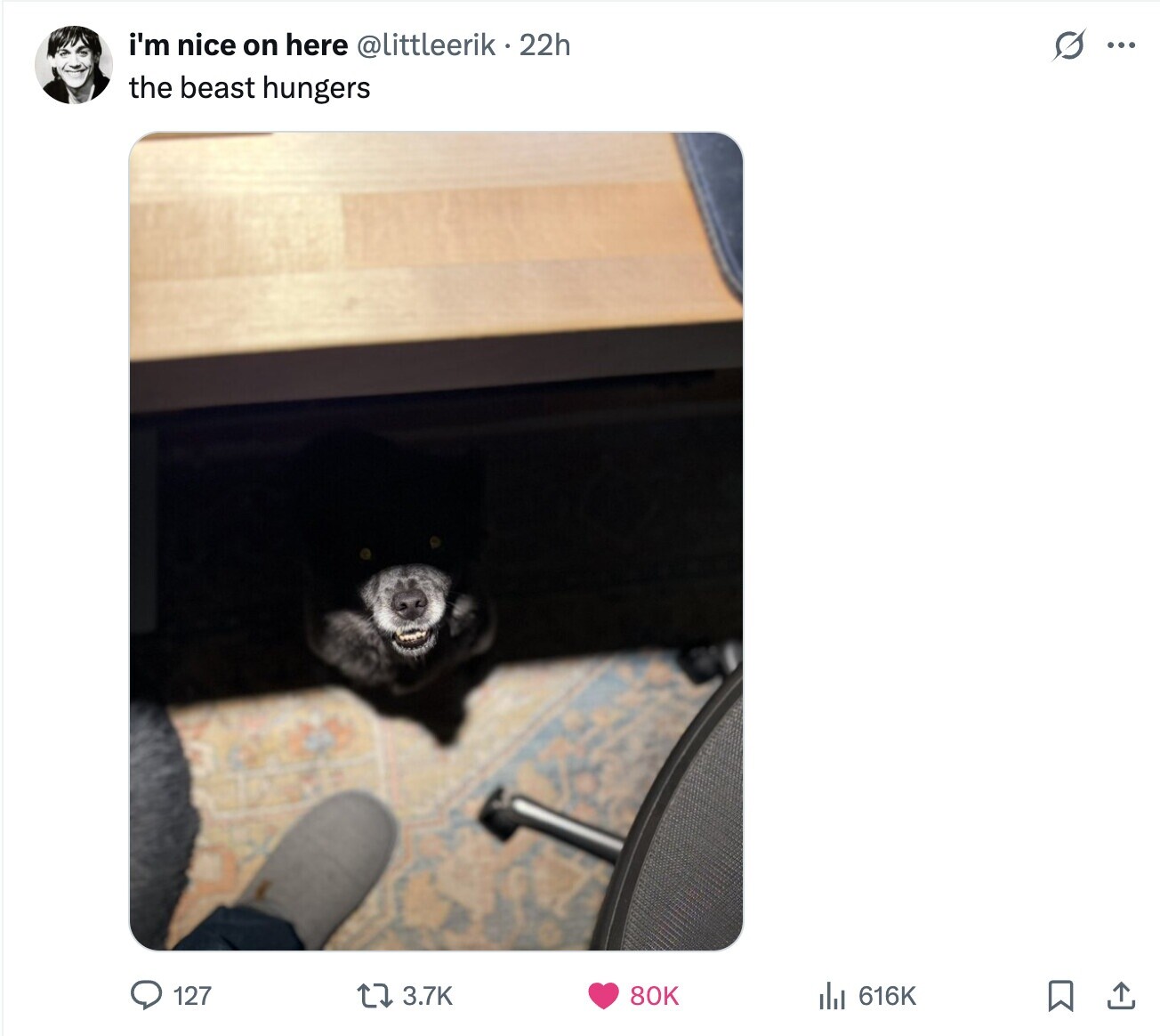 i'm nice on here @littleerik 22h s ... the beast hungers 127 3.7K 80K 616K