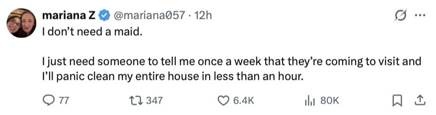 mariana Z @mariana057 . 1 12h ... I don't need a maid. I just need someone to tell me once a week that they're coming to visit and I'll panic clean my entire house in less than an hour. 77 347 6.4K del 80K