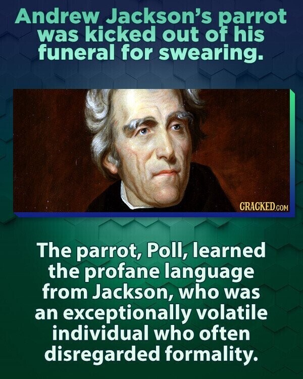 Andrew Jackson's parrot was kicked out of his funeral for swearing. CRACKED.COM The parrot, Poll, learned the profane language from Jackson, who was an exceptionally volatile individual who often disregarded formality.