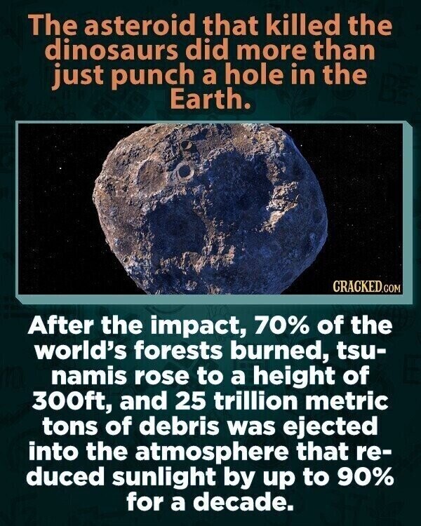 The asteroid that killed the dinosaurs did more than just punch a hole in the Earth. CRACKED.COM After the impact, 70% of the world's forests burned, tsu- namis rose to a height of 300ft, and 25 trillion metric tons of debris was ejected into the atmosphere that re- duced sunlight by up to 90% for a decade.