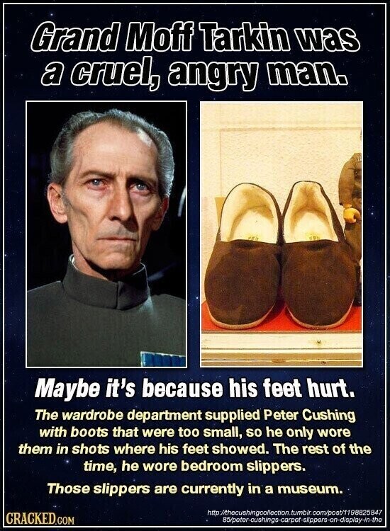 Grand Moff Tarkin was a cruel, angry man. Maybe it's because his feet hurt. The wardrobe department supplied Peter Cushing with boots that were too small, so he only wore them in shots where his feet showed. The rest of the time, he wore bedroom slippers. Those slippers are currently in a museum. http://thecushingcollection.tumbir.com/post/1198825847 CRACKED.COM 85/peter-cushings-carpet-slippers-on-display-in-the