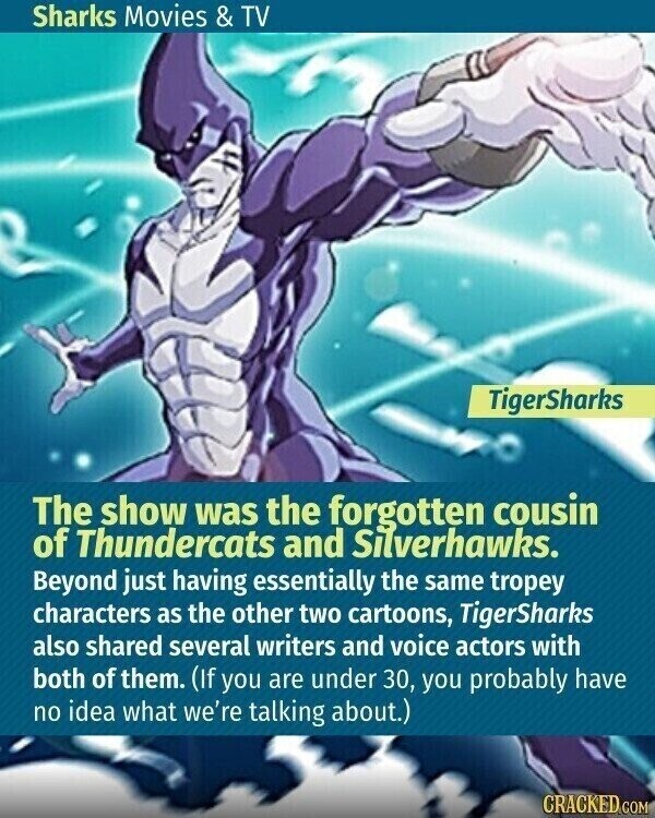Sharks Movies & TV TigerSharks The show was the forgotten cousin of Thundercats and Silverhawks. Beyond just having essentially the same tropey characters as the other two cartoons, TigerSharks also shared several writers and voice actors with both of them. (If you are under 30, you probably have no idea what we're talking about.) CRACKED.COM