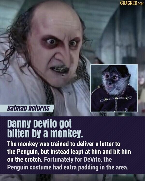 CRACKED.COM Batman Returns Danny Devito got bitten by a monkey. The monkey was trained to deliver a letter to the Penguin, but instead leapt at him and bit him on the crotch. Fortunately for DeVito, the Penguin costume had extra padding in the area.