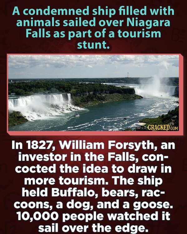 A condemned ship filled with animals sailed over Niagara Falls as part of a tourism stunt. CRACKED.COM In 1827, William Forsyth, an investor in the Falls, con- cocted the idea to draw in more tourism. The ship held Buffalo, bears, rac- coons, a dog, and a goose. 10,000 people watched it sail over the edge.
