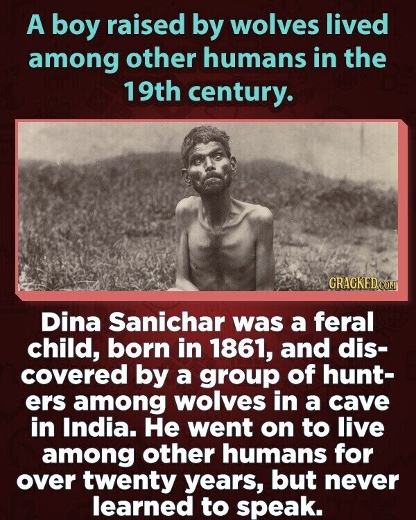 A boy raised by wolves lived among other humans in the 19th century. CRACKED COM Dina Sanichar was a feral child, born in 1861, and dis- covered by a group of hunt- ers among wolves in a cave in India. Не went on to live among other humans for over twenty years, but never learned to speak.