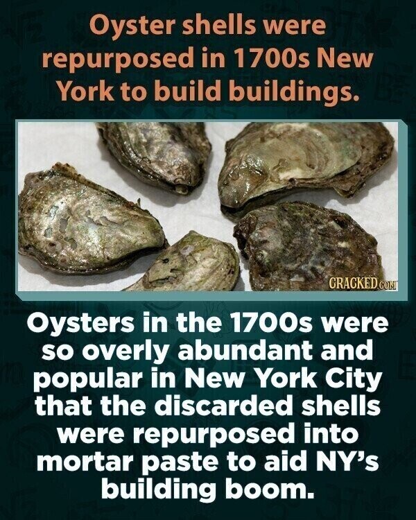 Oyster shells were repurposed in 1700s New York to build buildings. CRACKED COM Oysters in the 1700s were so overly abundant and popular in New York City that the discarded shells were repurposed into mortar paste to aid NY's building boom.