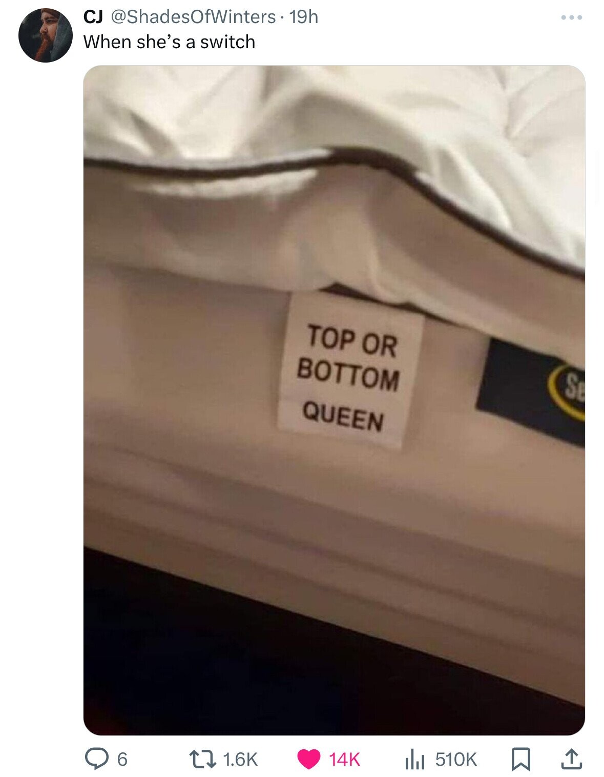 CJ @ShadesOfWinters-19h ... When she's a switch TOP OR BOTTOM Se QUEEN 6 1.6K 14K 510K 