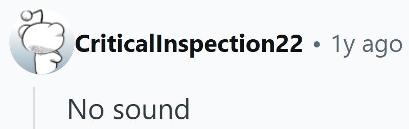 Criticallnspection22 1y ago No sound